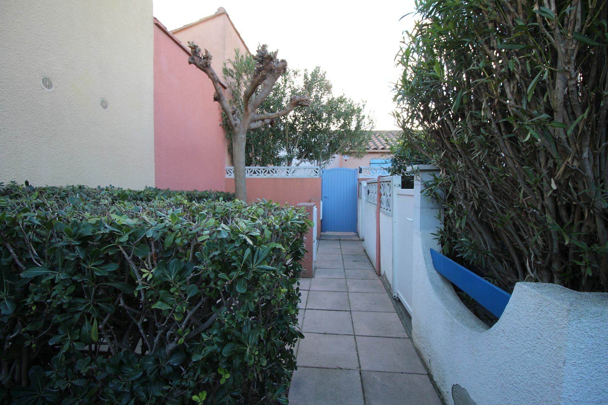 Appartement Charmant A Canet En Roussillon 36 M² Piscine Partagee Esterno foto